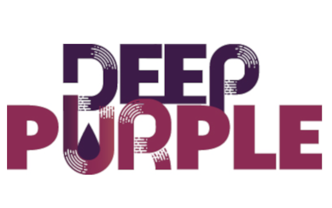 Il progetto DEEP PURPLE al webinar “Towards a Circular Economy – Untapping the potential of biowaste: opportunities and challenges ahead”